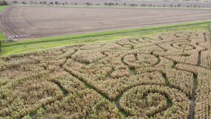 Corn-maze Footage, Videos And Clips In Hd And 4k - Avopix.com