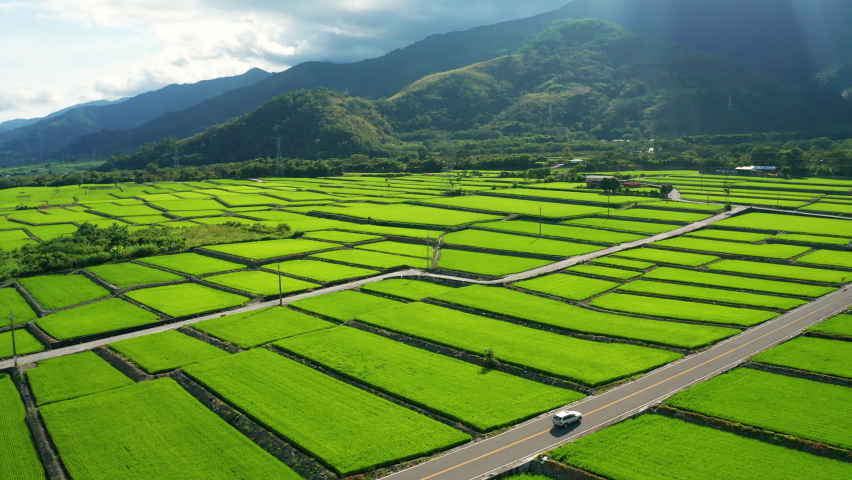 Aerial view of  green rice paddies in Taitung,Taiwan | Shutterstock HD Video #1081785566