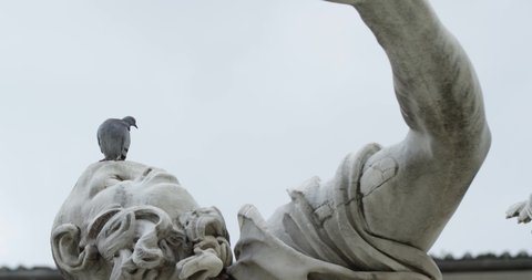 Tilting down shot: Fountain of the four rivers in Piazza Navona Rome Italy. Rio de la Plata sculpture close-up with pigeon on the head. Slow motion 50fps 4k