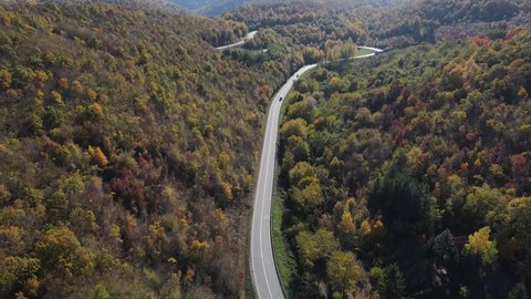 Top down aerial view drone image on the road trough the trees and forest in mountain range in autumn day - Tresibaba Knjazevac Mountain in Serbia - Travel journey and vacation concept car driving 