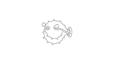 Animation of one single line drawing of beauty pufferfish for aquatic company logo identity. Balloon fish mascot concept for sea world show icon. Continuous line self draw animated. Full length motion