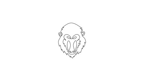 Animation of one single line drawing of exotic mandrill head for company logo. Largest monkey face mascot concept for national safari park icon. Continuous line self draw animated. Full length motion.