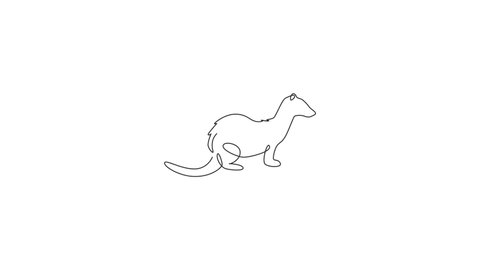 Animation of one single line drawing of funny ferret for pet logo identity. Endangered fauna mascot concept for national zoo icon. Continuous line self draw animated illustration. Full length motion.