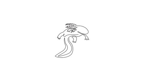 Animated self drawing of single continuous line draw beauty axolotl for company logo identity. Mexican walking fish mascot concept for aquatic creature icon. Full length one line animation.