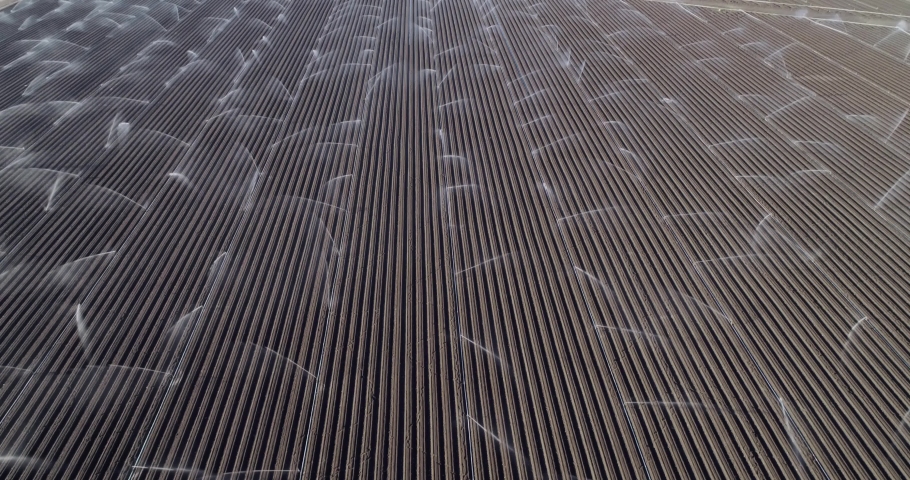 Irrigation Agriculture Field in California, United States. Sprinkler system waters rows of lettuce crops on farmland in the Salinas Valley 
