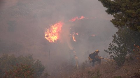 SANTA BARBARA COUNTY, CALIFORNIA - CIRCA 2021 - Firefighters use a hose and water against the flames of the Alisal Fire.