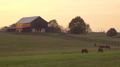 KENTUCKY - CIRCA 2020s - Establishing shot of a rural Kentucky thoroughbred horse farm and barn in sunset light.