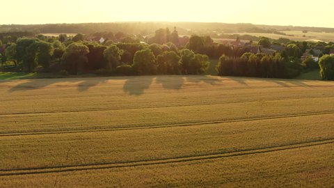 Aerial View in summer over a small village in Mecklenburg-Vorpommern Germany. The fields are yellow and green and the sun is going down an you can see long shadows