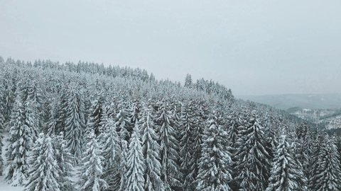 Aerial view of Thuringian forest in winter. Drone footage. Fly over winter forest with a lot of snow.