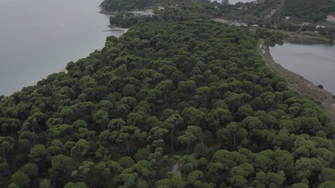 Drone flight above a forest in Skiathos in Greece