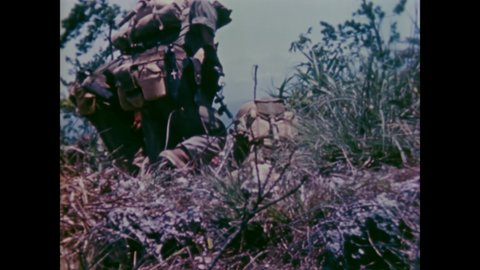 CIRCA 1945 - US Marines fire rifles and hide in the weeds of Okinawa.