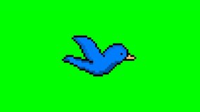 Pixel flying blue bird animation on green screen