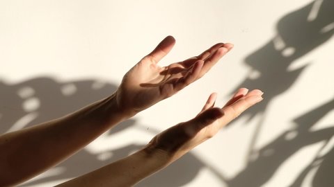 Beautiful Dance of female hands slow motion on white background with shadows