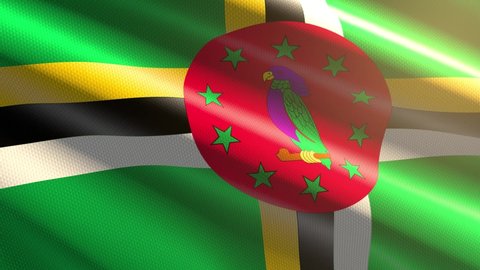 Dominica shiny flag - loop animation