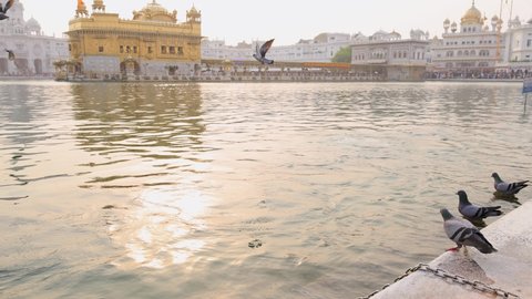 The Golden Temple, Amritsar, Punjab, India
