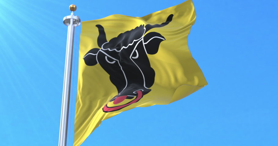 Canton of Uri Flag, Switzerland. Loop