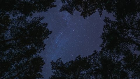Timelapse of night sky in the forest. Milky way is visible between trees.Quick movement
