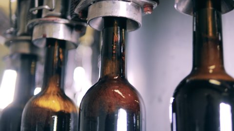 Close up shot of glass bottles filled up with wine. Automated bottling conveyor.