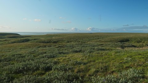 Faraway view of camp for hydrologists. Camp among wild nature of Yamal peninsula. bright blue sky over grass on ground.