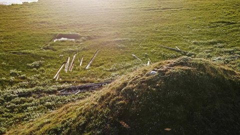 View of ground with green grass on it lighted by sun beam. Yamal peninsula