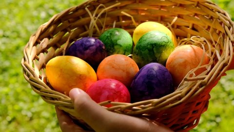 Easter Egg Hunt. Easter eggs set in a basket. Collecting Easter eggs