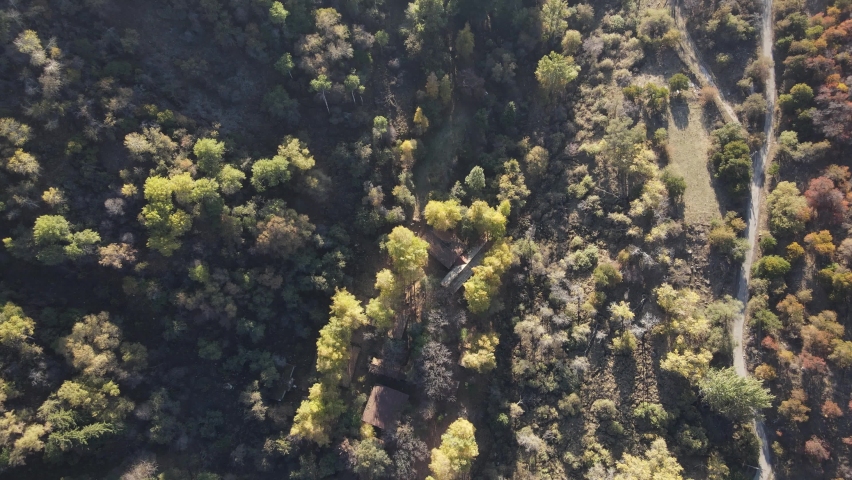 beautiful mountain forest interesting landscape