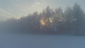 AERIAL Early morning sunbeams shining trough foggy trees in snowy forest at misty sunrise. Golden sun rising behind frozen forest wrapped in morning fog and snow in cold winter. Stunning winter sunset - Powered by Shutterstock - Get 15% off with code: PIKWIZARD15