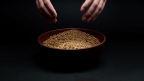 Taking barley in hands from bowl and pouring on black background. Shooting of cereal and groats in studio. Macro footage of pouring out the grits. Food cooking video. 