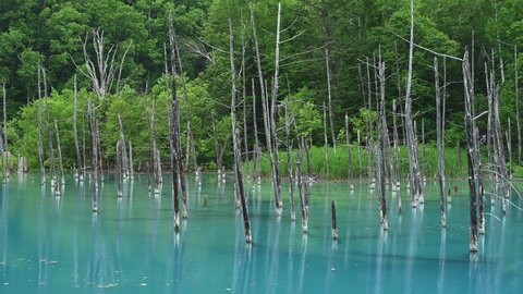 Shirogane Blue Pond in Biei Town, Hokkaido