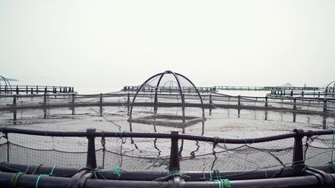 Small fishes in the fish farm in the middle of the sea. Commercial fish farming. Fish in the fishing net. 