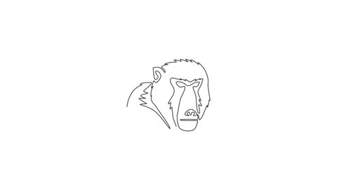 Animation of one single line drawing of baboon head for company business logo identity. Cute primate animal mascot concept for corporate icon. Continuous line self draw animated. Full length motion.