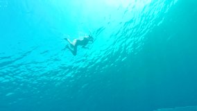 Open Water Swimming . High quality video