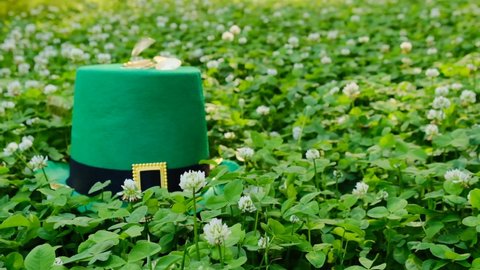 Patrick s Day.Green leprechaun hat in green clover.Falling coins on a green hat. Irish traditional spring holiday.Saint Patrick background.St. Patricks Day green background with shamrock leaves. 4k