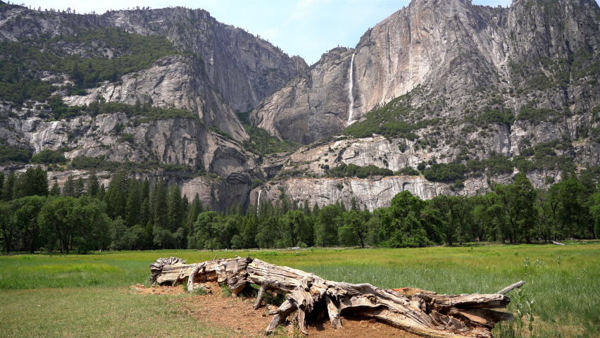 Yosemite Falls and Tree Log at Cook