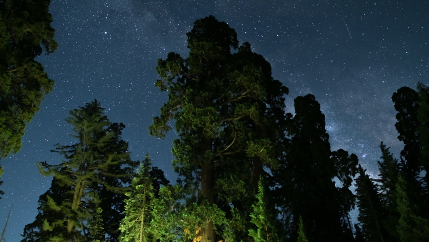 Sequoia Milky Way Galaxy In South Sky in Sequoia and Kings Canyon National Park General Grant Grove California USA