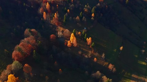 Breathtaking autumn day in the mountains from a bird's eye view. Shooting from a quadcopter. Carpathian mountains, Ukraine, Europe. Cinematic aerial shot. Beauty of earth. Filmed in 4k, drone video.