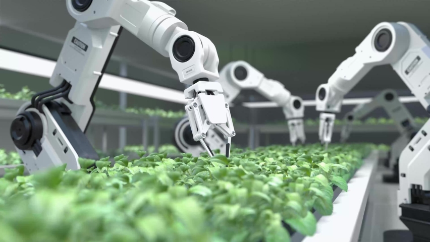 Smart robotic farmers concept, robot farmers, Agriculture technology, Farm automation Royalty-Free Stock Footage #1081953587