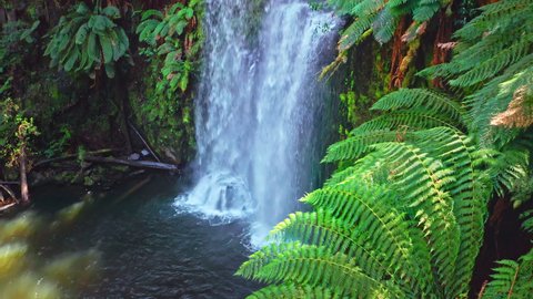 Great Otway National Park Australia. Beauchamp Falls in jungle forest