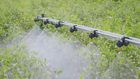 Daylight moving shot of a boom sprayer machine vehicle is spraying Pesticides or fertilizer in an agricultural farming or crop plantation field in the South Asian region. Concept of modern agriculture