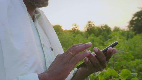 Modern aged Indian male Farmer standing and scrolling the display or using a smart phone in the middle of an agricultural farm or a field in rural India. Concept of advanced technology in agriculture