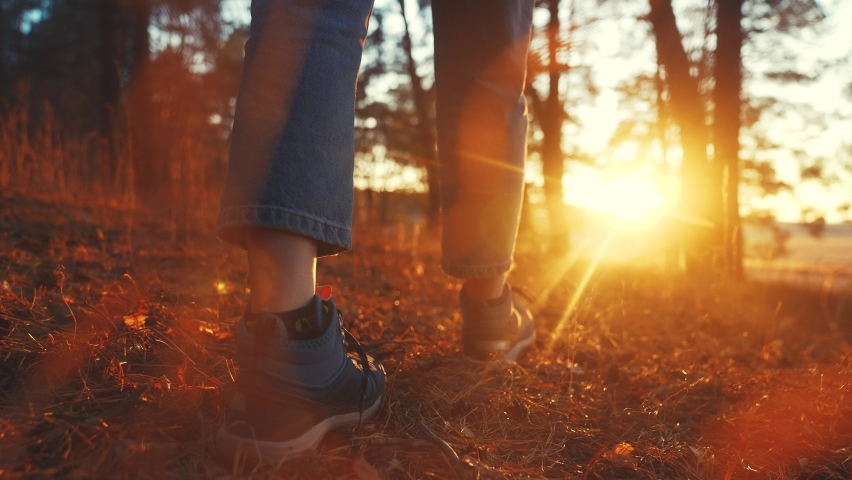 hiker teen feet walking in the park forest. travel concept. close-up of a leg man walking with journey in the park in the forest. boy teen walk concept. hiker sneakers walking close-up park sunlight Royalty-Free Stock Footage #1081967423