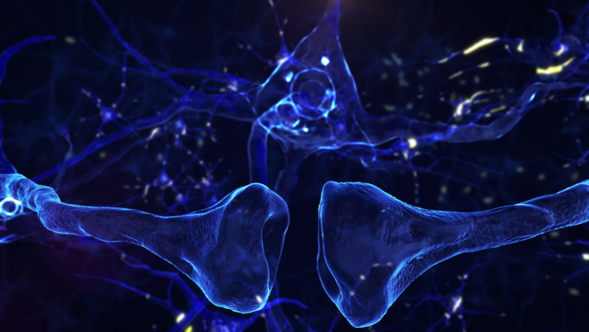 
Neurons and Neural Connections 3D Render. Neuronal Activity in the Brain, Synapse Process. Electrical Impulses Between Neuronal Connections. Royalty-Free Stock Footage #1081989491