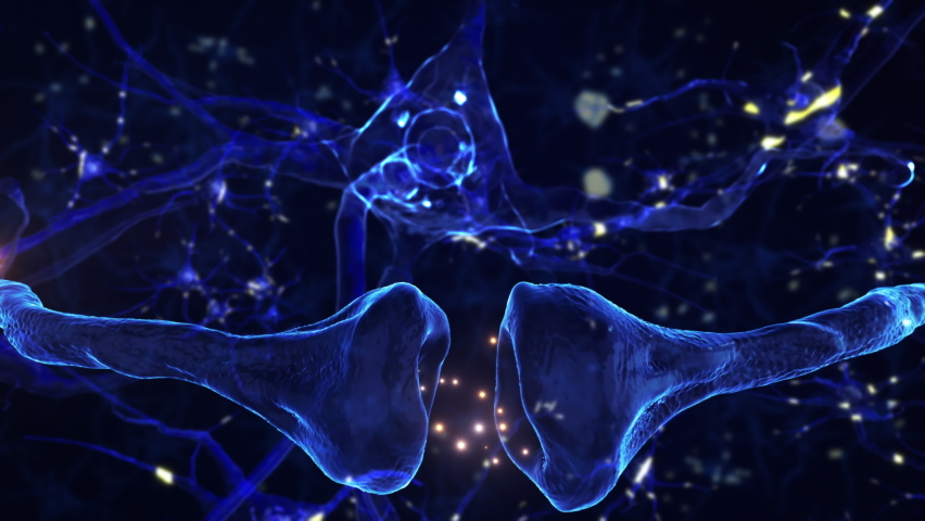 
Neurons and Neural Connections 3D Render. Neuronal Activity in the Brain, Synapse Process. Electrical Impulses Between Neuronal Connections. | Shutterstock HD Video #1081989491