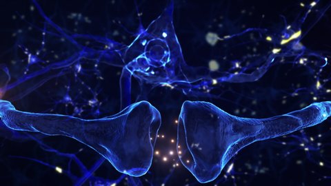 
Neurons and Neural Connections 3D Render. Neuronal Activity in the Brain, Synapse Process. Electrical Impulses Between Neuronal Connections.