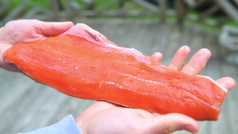 Macro closeup of man hands holding showing raw sockeye salmon previously frozen fillet storebought supermarket store from butcher