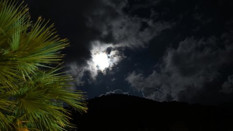 Time lapse night movement of stars and moon on a background of palm trees