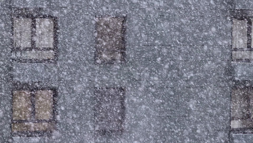 Shutterstock video thumbnail
