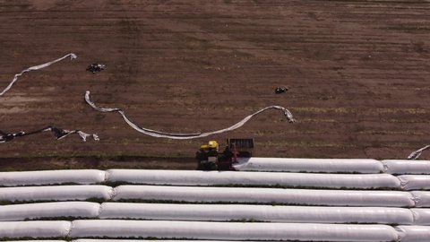 Aerial top down of tractor machinery collecting yield crops of silo bags after Growth on field