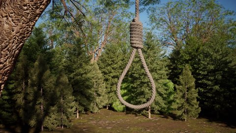 A close-up view around a rope with a noose knot hanging from the branch of a tree in a forest.