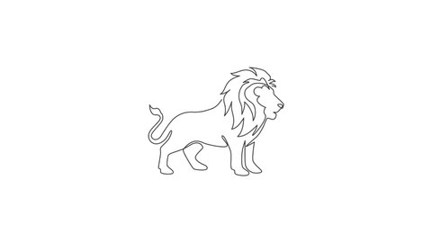 Animated self drawing of continuous line draw king of the jungle, lion for company logo identity. Strong feline mammal animal mascot concept for national safari zoo. Full length single line animation.